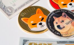 BONE, Shiba Inu's Token, Gets Listed On The Ambitious US Crypto Exchange