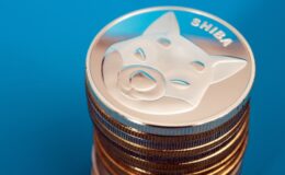 SHIB Price Prediction As Meme Coins Taking A Breather